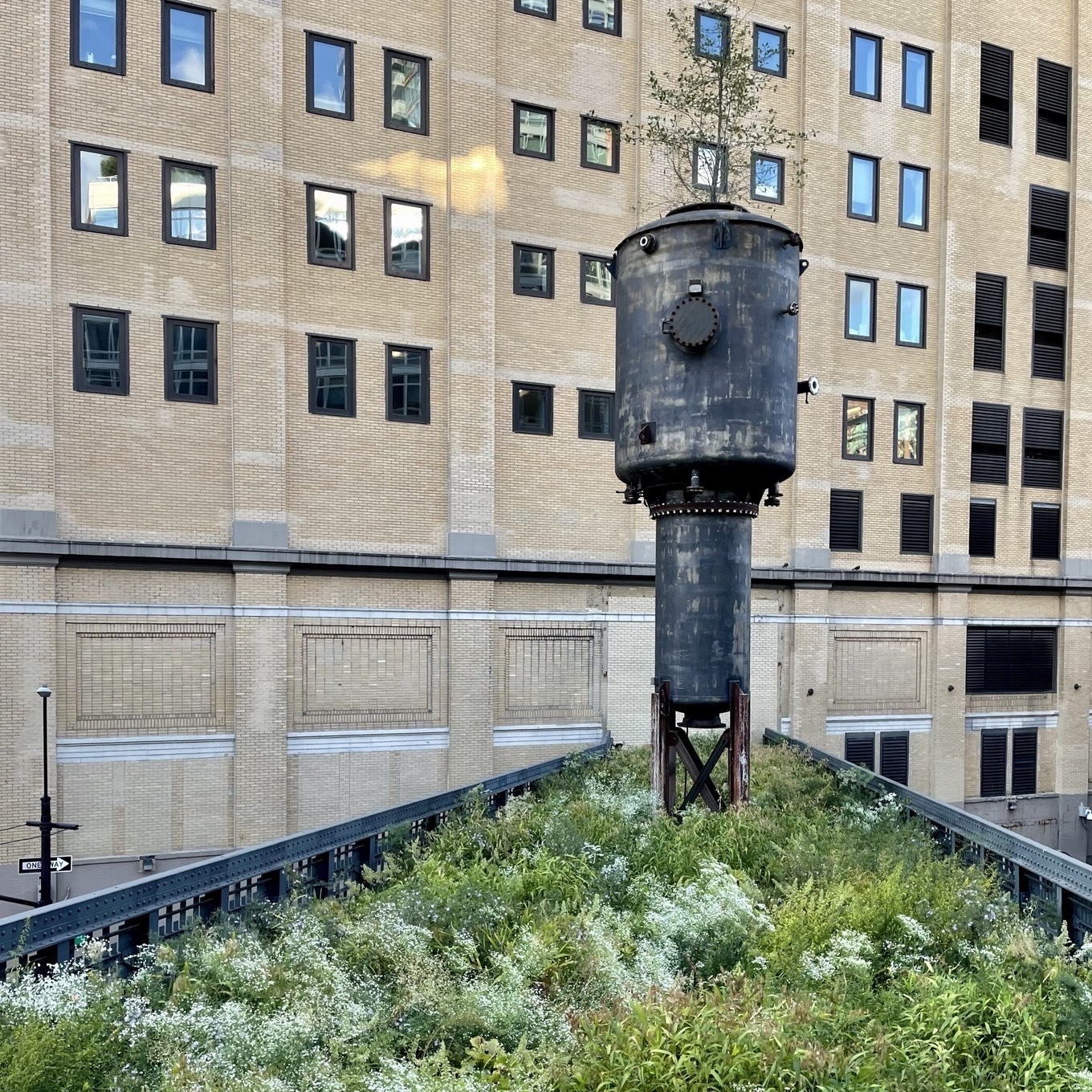 Watertower from within low grasses on the Highline