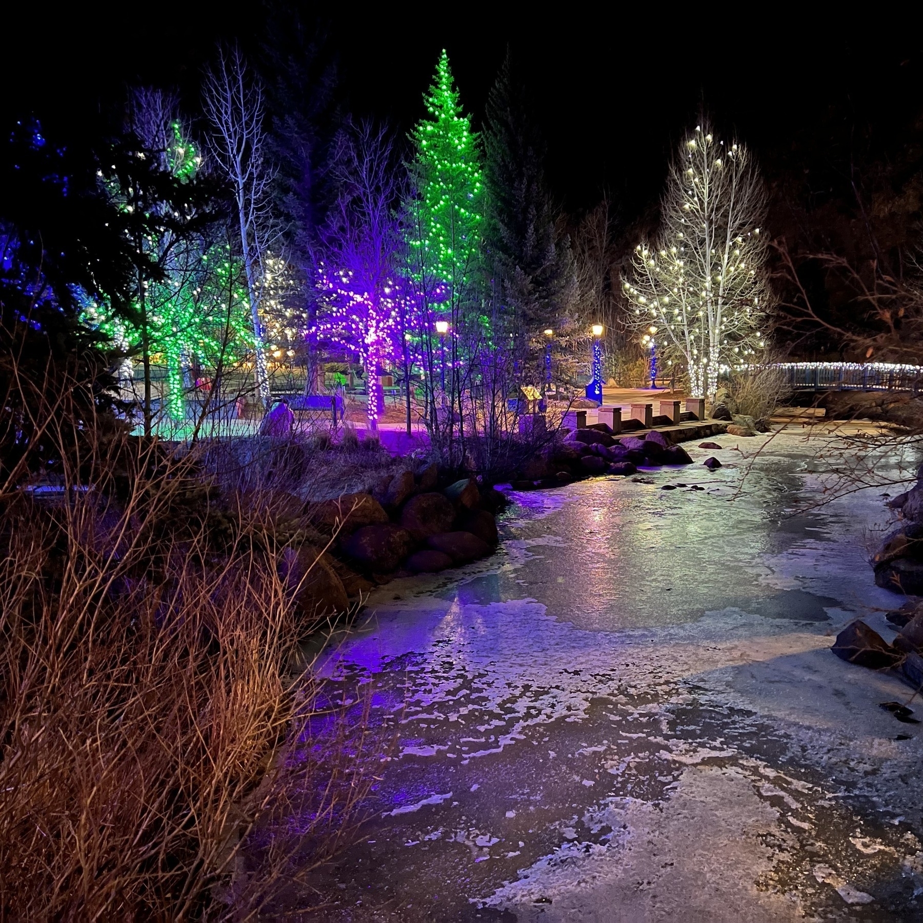 A partially frozen river bending in front of lighted trees at night.