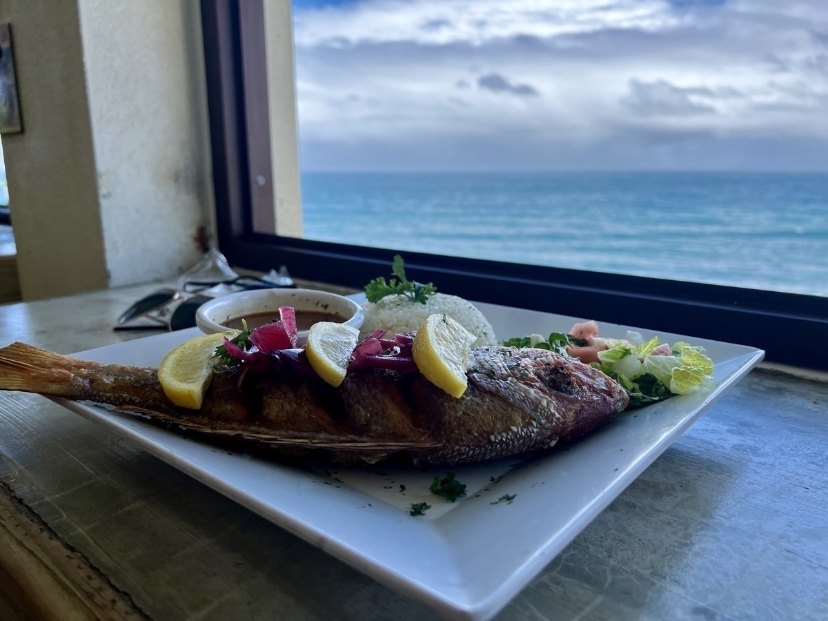 Fried red snapper in front of the ocean.