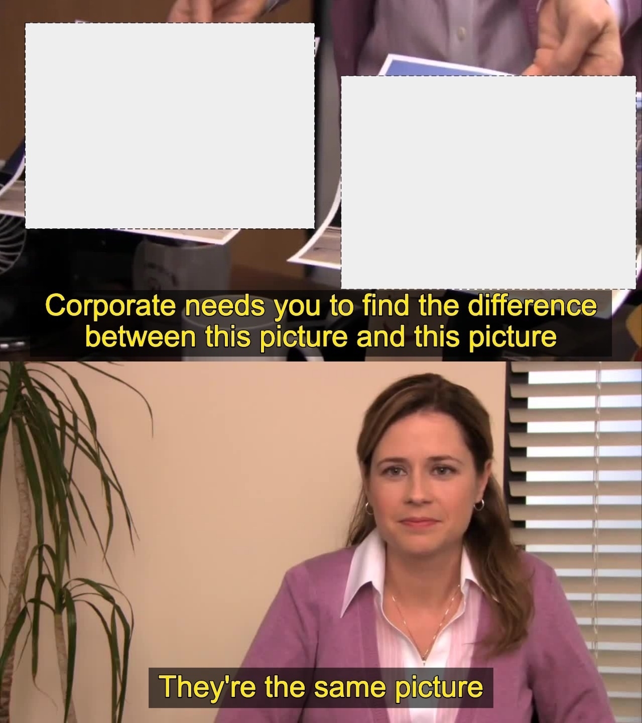 The Office, 'It's the same picture,' meme.
