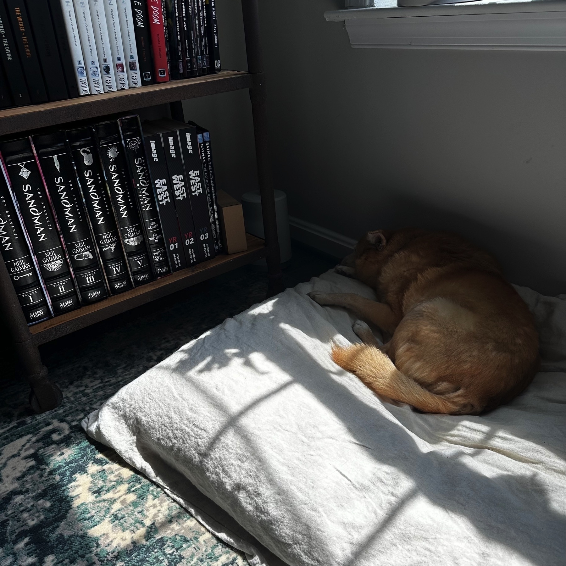 Gracie, my Pomeranian-Beagle mix, sleeping on a large beige bed