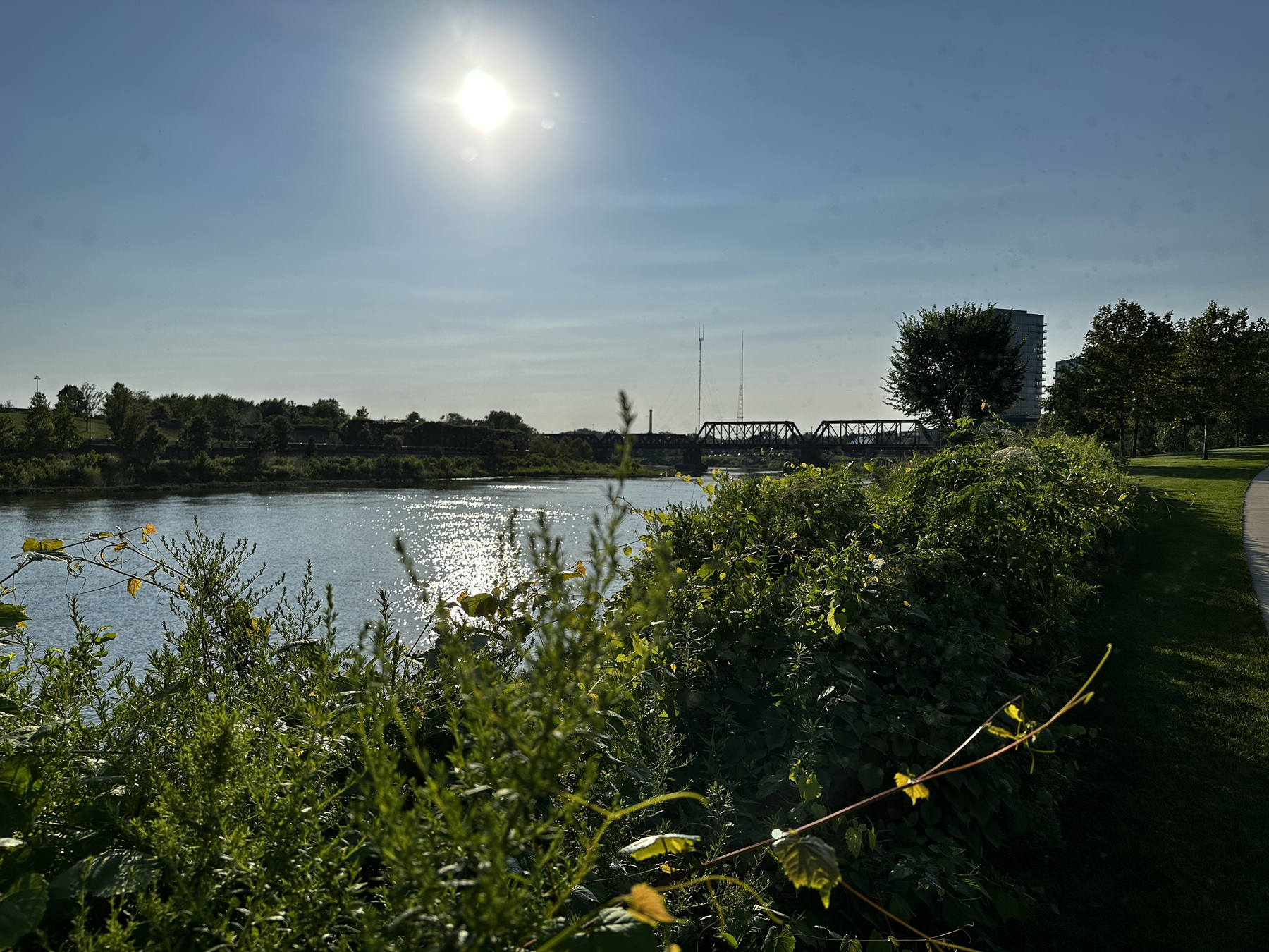Green bushes in the foreground with the river and an old industrial style bridge in the background with a bright sun